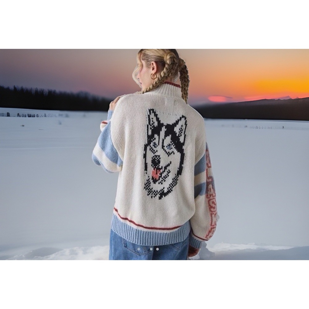 NWT Urban Outfitters BDG Alaska Husky Retro Knit Sweater Small/S 3/4 Zip Lizzie